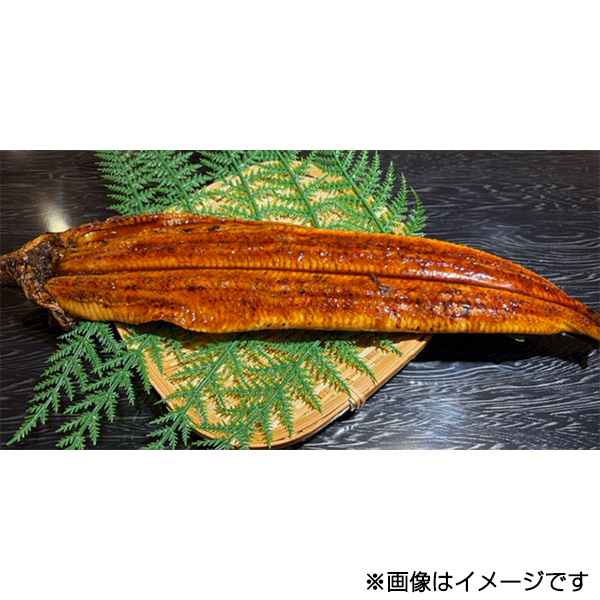 ��{���X�y7��26��(��) �ߌ�2���`�ߌ�6�����n���z�q���q�r���Ȃ�����(��)�i���n���ꏊ�F�n��1�K ����� ���݉��j