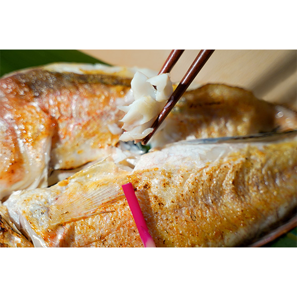 ◇ ハルカスニッポン博覧会 島根〈岡富商店〉あなご・甘鯛・かれい・あじ 山陰日本海一夜干詰合せ