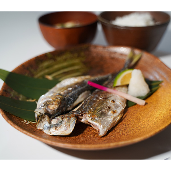 ◇ ハルカスニッポン博覧会 島根〈岡富商店〉あなご・白いか・かれい・あじ・れんこ鯛 山陰日本海一夜干詰合せ