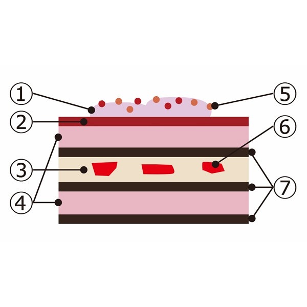 ○62.〈小樽洋菓子舗ルタオ〉ルージュノエル
