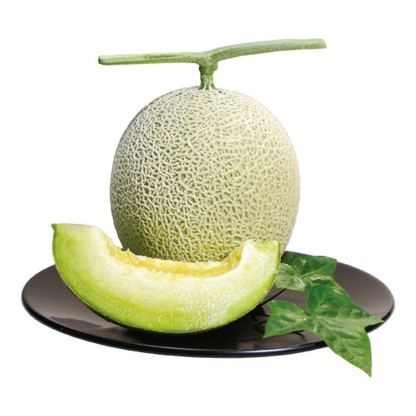 41.���_�C���ʉ� �F�{���Y �}�X�N������