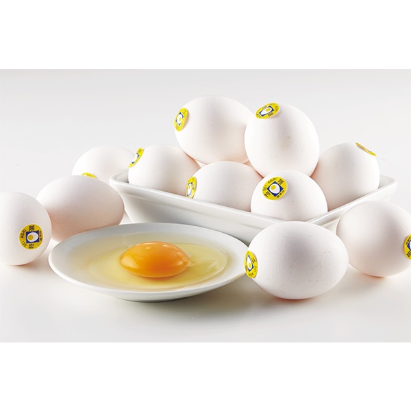 ◇セイアグリーシステムセイアグリー健康卵