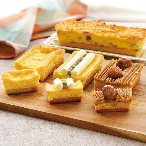 Έ Ɛv~A`[YP[L xXgZNV