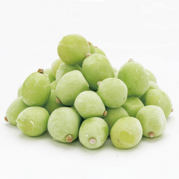 ߓS {̔ t[`CXMtg BR[X1i