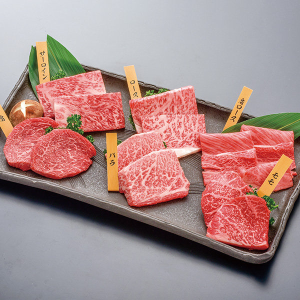 ߓS {̔ t[`CXMtg BR[X1i