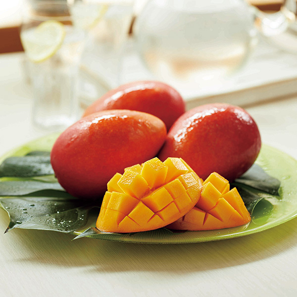 日本もの・がたり ISコース