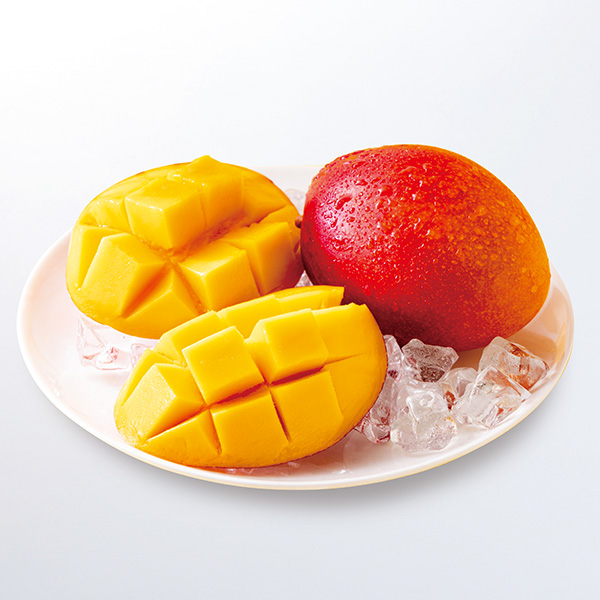 ���{�茧�Y ���n�}���S�[
