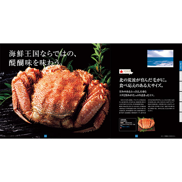 �k�C�������M�t�g �k�v���R�[�X