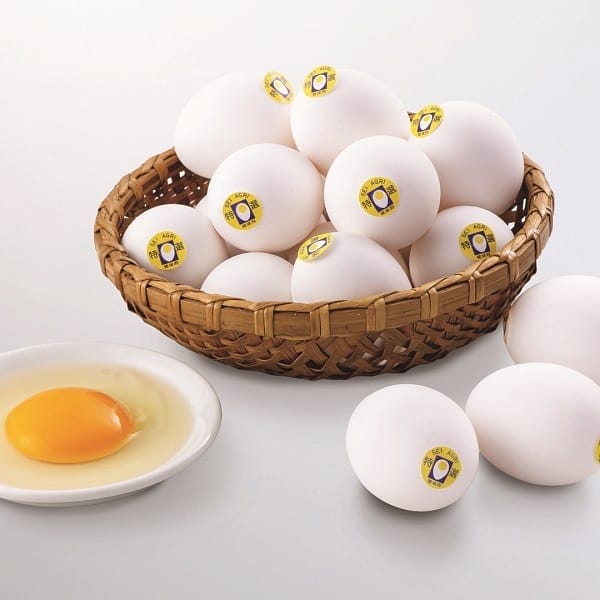 ���Z�C�A�O���[�V�X�e�� �Z�C�A�O���[���N��