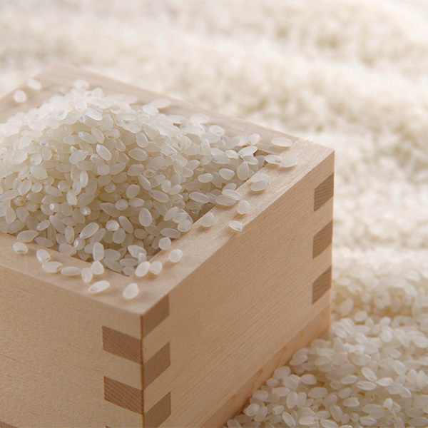 ������3��l����