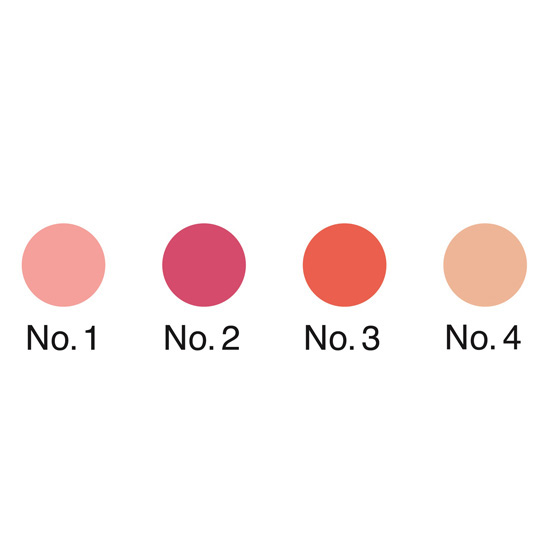 〈シスレー〉フィト ブラッシュ ツイスト