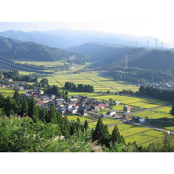 ߘa7NY VYiJAwjЂ5kg×2