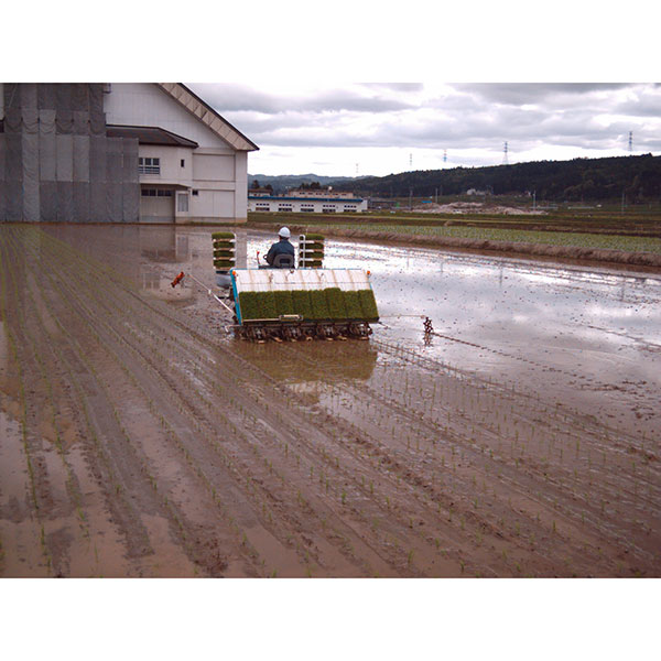 ߘa7NY VYiJAwjЂ5kg×2