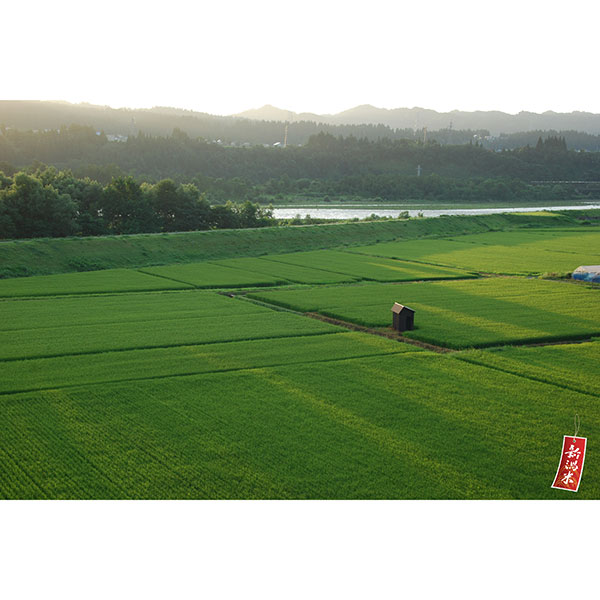 ߘa7NY VYiJAwjЂ5kg×1