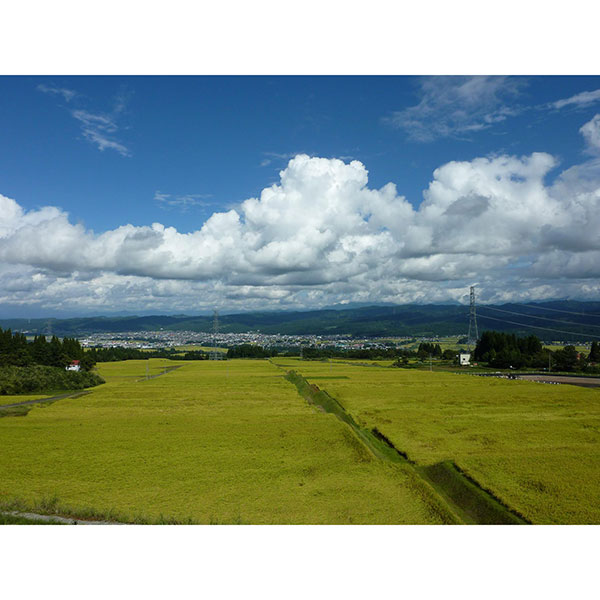 ߘa7NY VYiJAwjЂ5kg×1