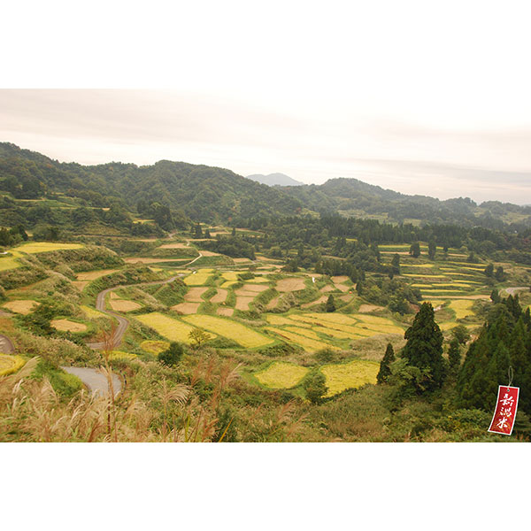 ߘa7NY VYiJAwjЂ5kg×1