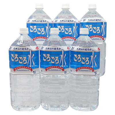 yll 1_܂ŁzޗǓX戵iq̗r낲됅 2000ml×6{