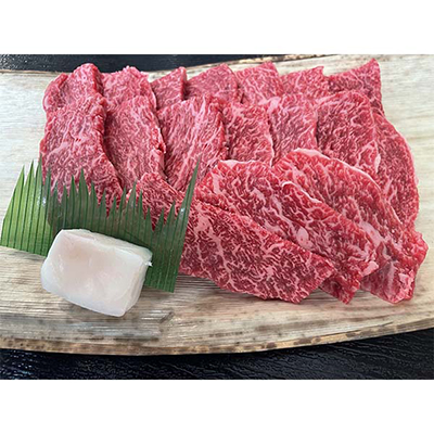 ޗǓX戵iqفrR`Ԑgoēp 400g