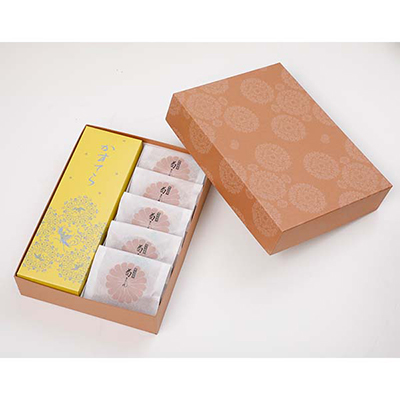 ޗǓX戵iq{Ƌerl(JXe1/e܂5)