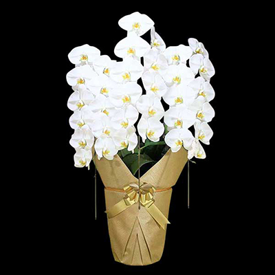 Ӓ@ց@3{ā@S@@(bsOFԌnj@