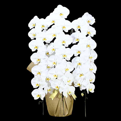 Ӓ@ց@3{ā@M@(bsOFsNnj@