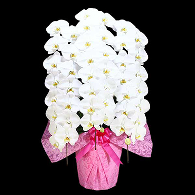 Ӓ@ց@3{ā@L@(bsOFԌnj@