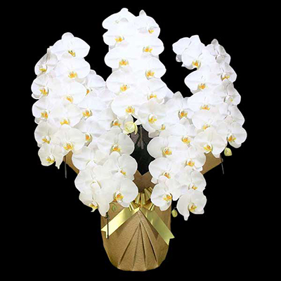 Ӓ@ց@5{ā@M@(bsOFԌnj@