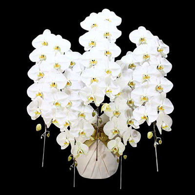 Ӓ@ց@5{ā@L@(bsOFԌnj@