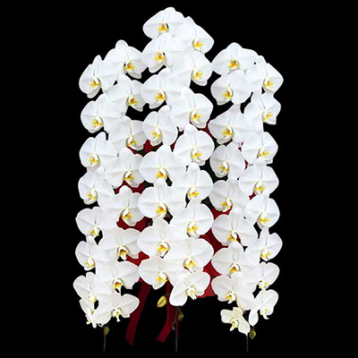 v~AӒ@ց@3{ā@L@(bsOFsNnj@