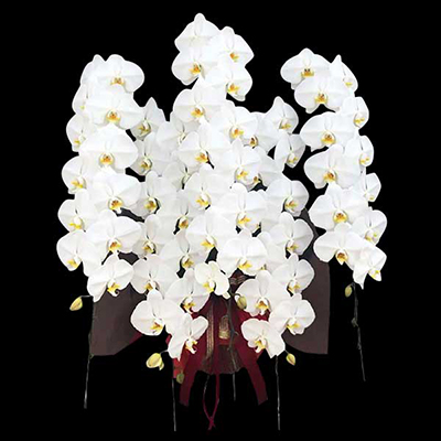 v~AӒ@ց@5{ā@M@(bsOFԌnj@