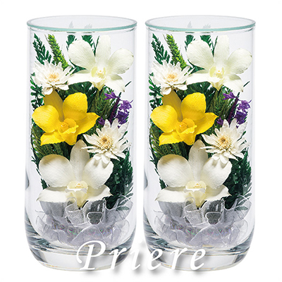 q񓰁rvG[MAB 1΁i2{j