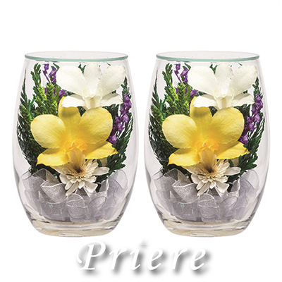 q񓰁rvG[SAB 1΁i2{j