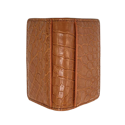 qŊ㍁rNR_Ci}bgdグjRCP[X