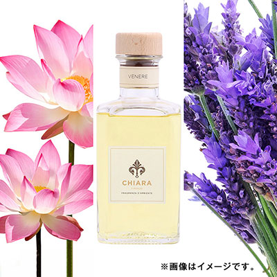 qLAtBcFrFl[@[hft[U[(XeBbNt)