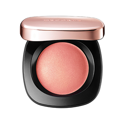 �q�R�X���f�R���e�r�N���[�� �u���b�V��