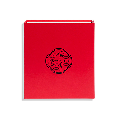 qSHISEIDOrSHISEIDO BOX (L)