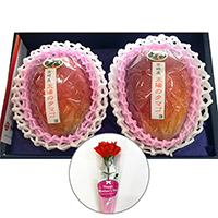 �� ��̓� �q�k�c�r�{�茧�Y���n�}���S�[���z�̃^�}�S���J�[�l�[�V����