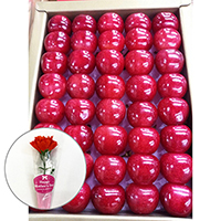 �� ��̓� �q�k�c�r���쌧�Y�����с��J�[�l�[�V����