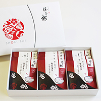 a̎RX戵iqD~rґ򒃒Ђ10Zbg