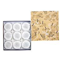 a̎RX戵iq`Iقr܏\ܖ΋l@9