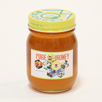 ÓX戵iqy{IrꌧYSԖI@450g