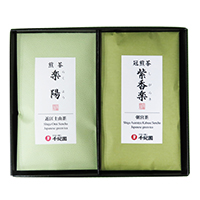 ÓX戵iqN̍Ir{Eߍ]l({uyv80gEߍ]uyzv80g)