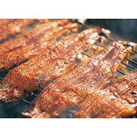 qEߍ]Á^FrȂYΏĊċl SK-80R*