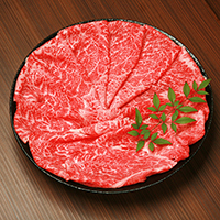 ÓX戵iqurߍ]ĂԂԗp