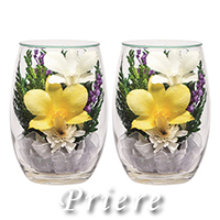 q񓰁rvG[SAB 1΁i2{j