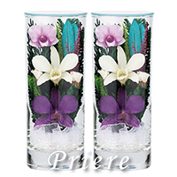 �q�����񓰁r�v���G�[��SSA 1�΁i2�{�j