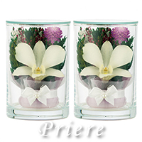 q񓰁rvG[QSA 1΁i2{j