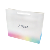 �qAYURA�r�n���f�B�o�b�NM��