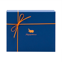 qq||^}XrpMtgBOX/tFCX^I