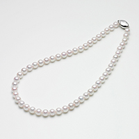 qŊ㍁rARp[lbNX(7.5-8.0mm)